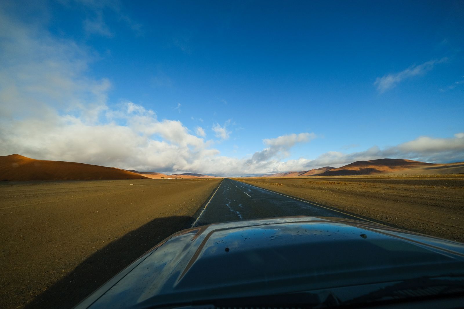 Long desert highway crossing towards the horizon