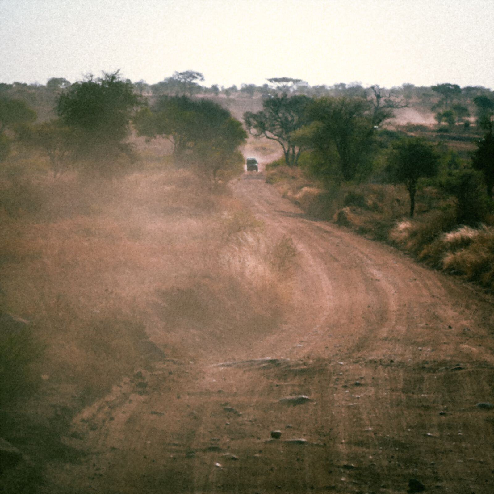 Dust rising from a bush road in open country