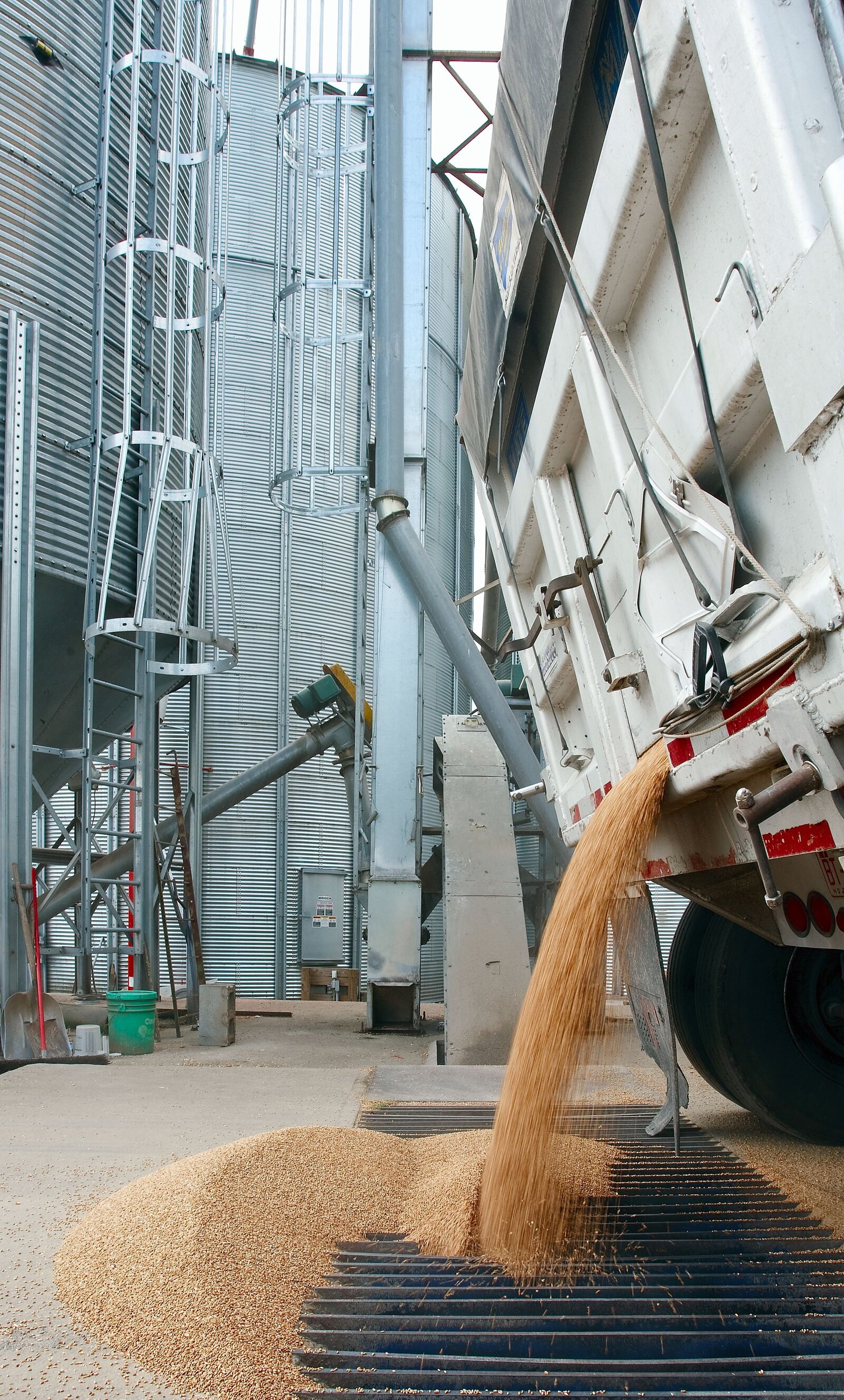 Grain discharging from a tipping trailer at a silo